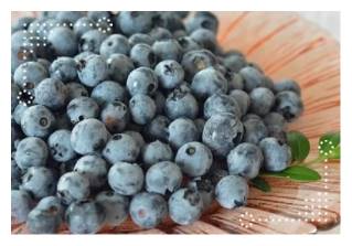 눈에 좋은 음식 블루베리 효능 먹는 13