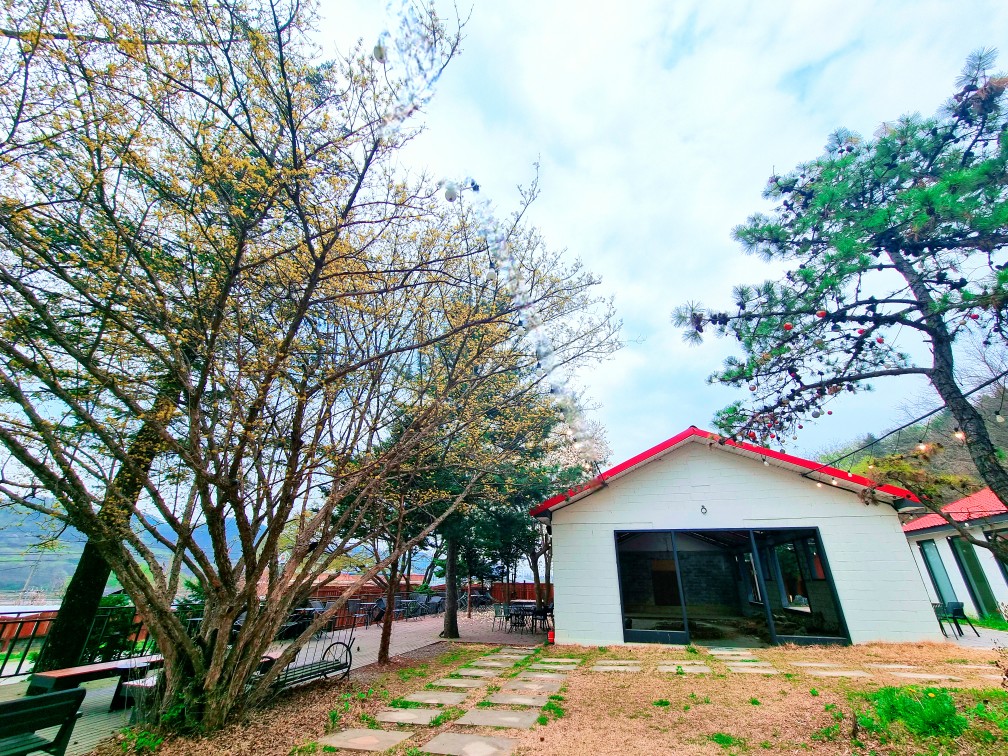 파주가볼만한 곳: 마롱리면사무소 카페&amp;#44; 율곡수목원 근처 정원 카페