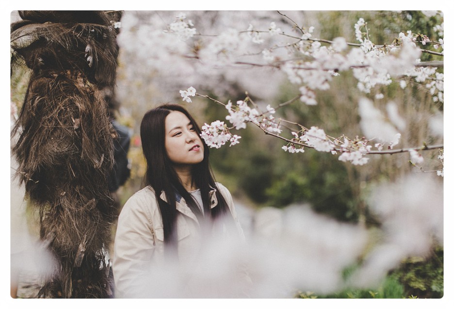  창원 벚꽃명소 탐방 - 창원벚꽃거리, 여좌천, 경화역벚꽃길