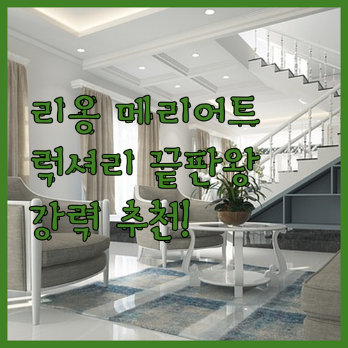리옹 메리어트 호텔 시테 인터내셔내일
