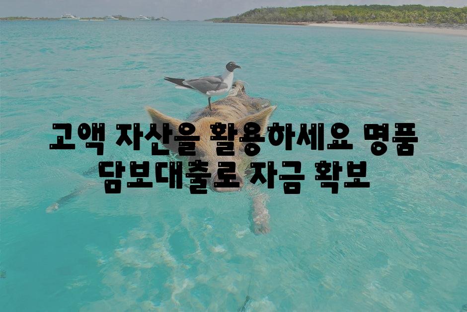 고액 자산을 활용하세요 명품 담보대출로 자금 확보