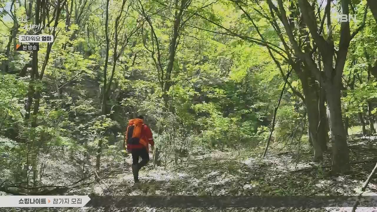 나는 자연인이다.E554.230518p.H264-F1RST.mp4_20230518_194507.750.jpg