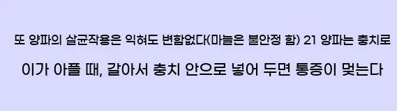  또 양파의 살균작용은 익혀도 변함없다(마늘은 불안정 함) 21 양파는 충치로 이가 아플 때, 갈아서 충치 안으로 넣어 두면 통증이 멎는다