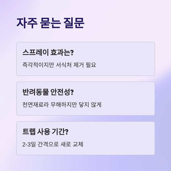 초파리 없애는법 5분 해결! 집에서 바로 만드는 유인 트랩 요약 이미지