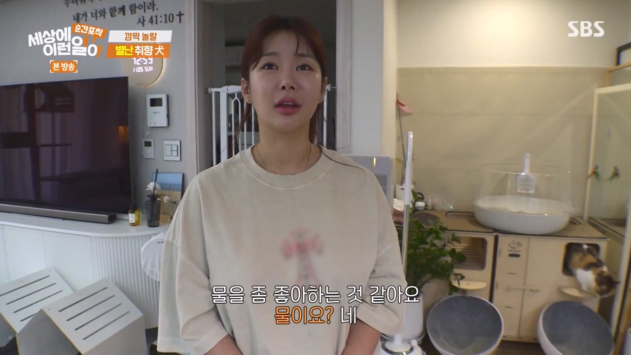 순간포착 세상에 이런일이.E1253.231126p-NEXT.mp4_20231126_160758.634.jpg