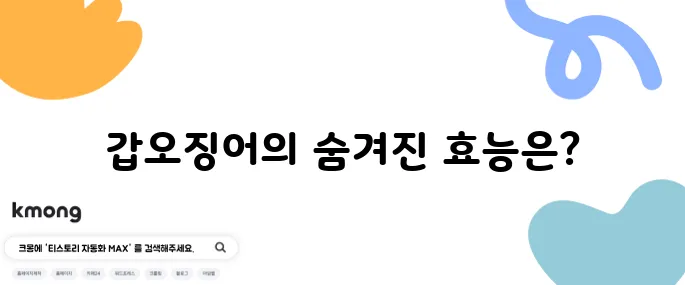 갑오징어의 효능 10가지와 함께 알아보는 부작용도 놓치지 마세요.