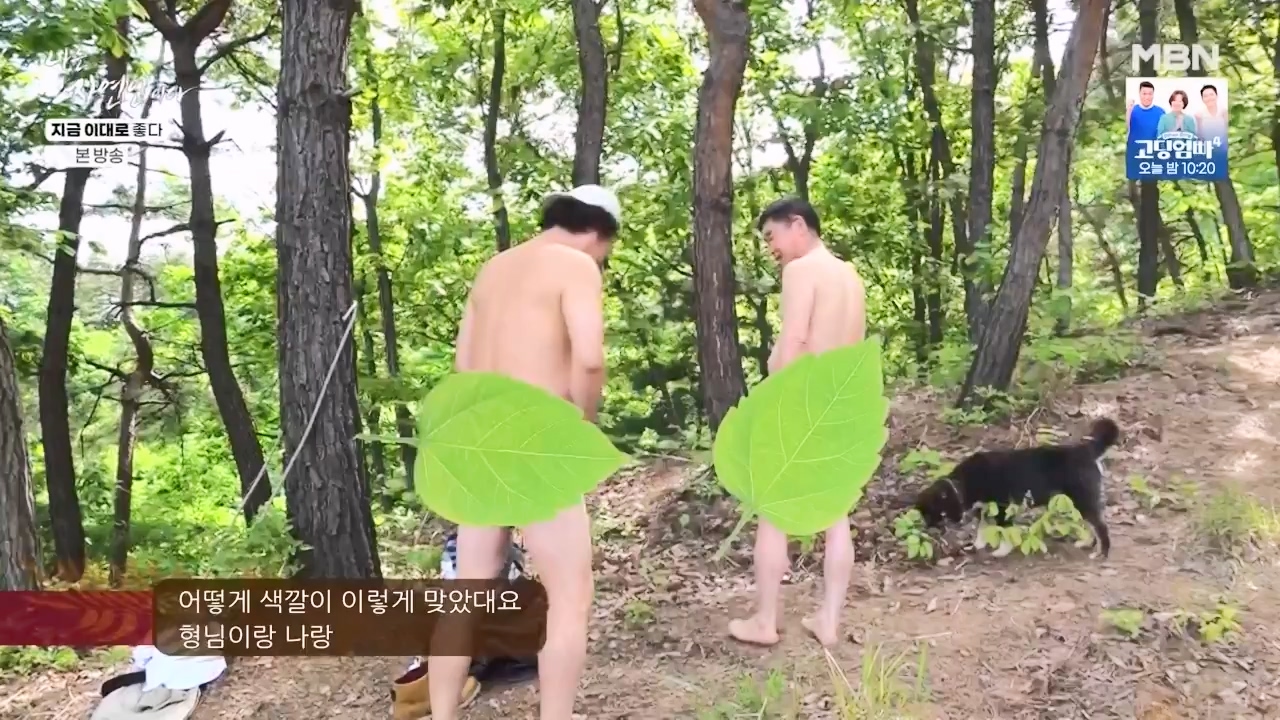 나는 자연인이다.E605.240516p-NEXT.mp4_20240516_194935.020.jpg