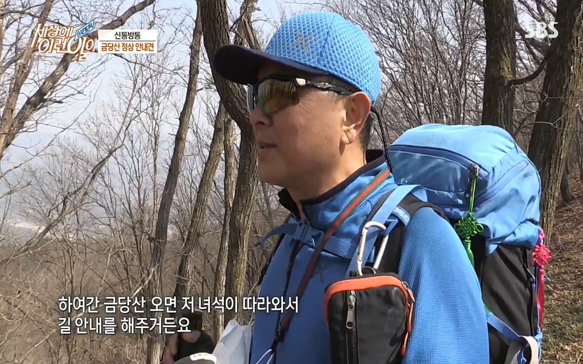 순간포착 세상에 이런일이.E1176.220420p-NEXT.mp4_20220420_175840.636.jpg