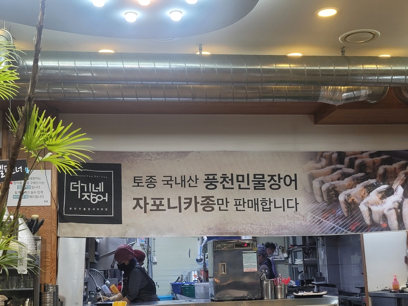 토종 국내산 풍천민물장어 자포니카종만 판매합니다