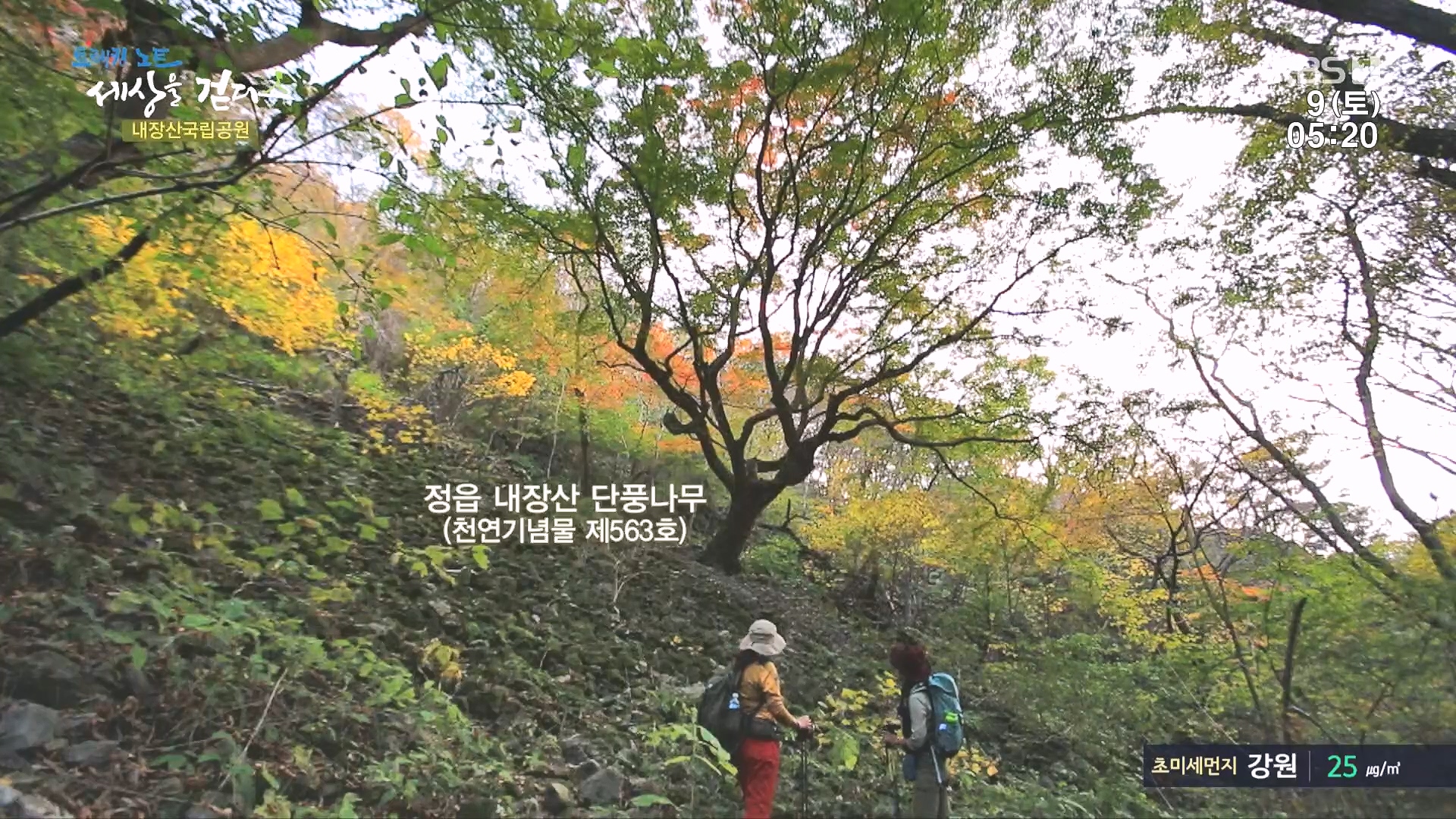 트레킹노트 세상을 걷다.E298.231209p.H264-F1RST.mp4_20240105_203618.352.jpg