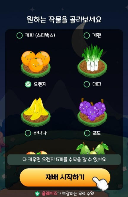 올웨이즈 올팜 첫 수확 바나나 무료 배송후기