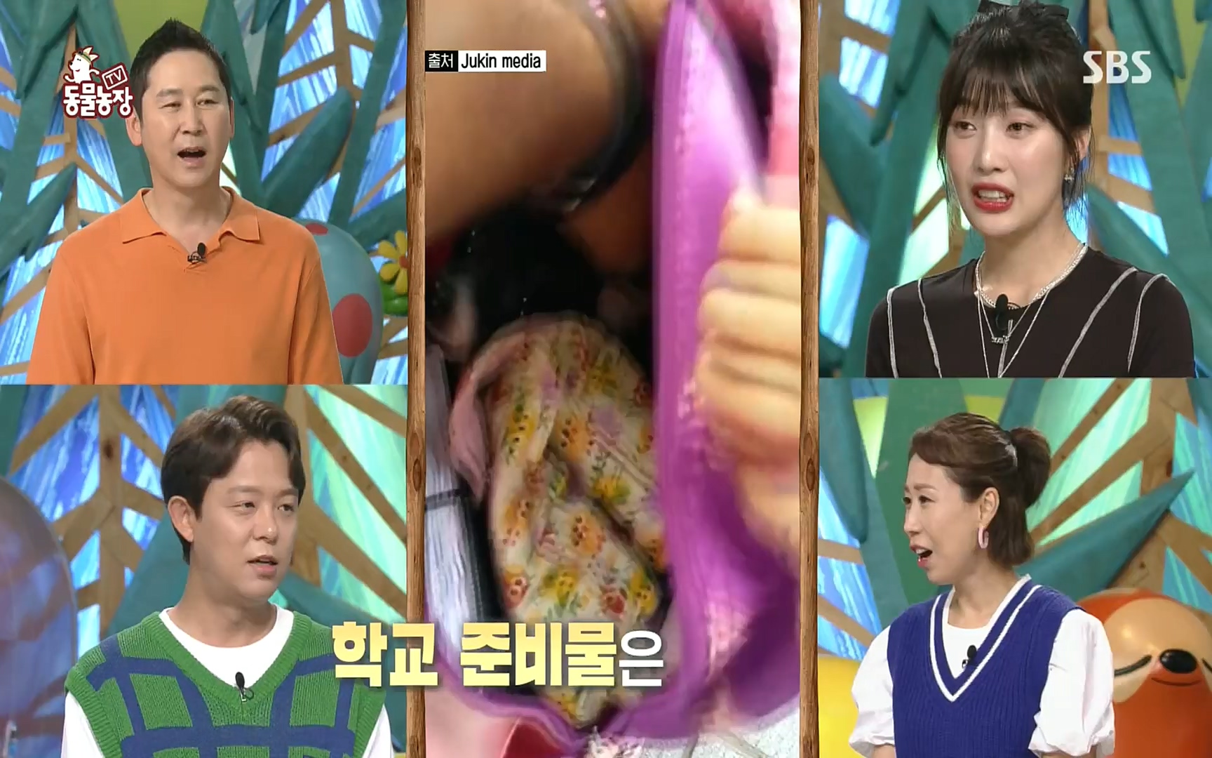 TV 동물농장.E1083.220821p.H264-F1RST.mp4_20220821_183648.954.jpg