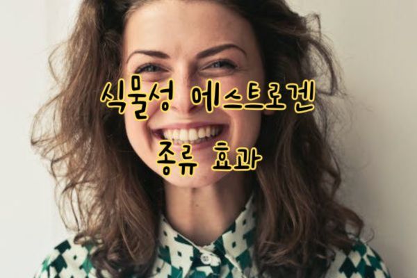 식물성 에스트로겐 종류 효과
