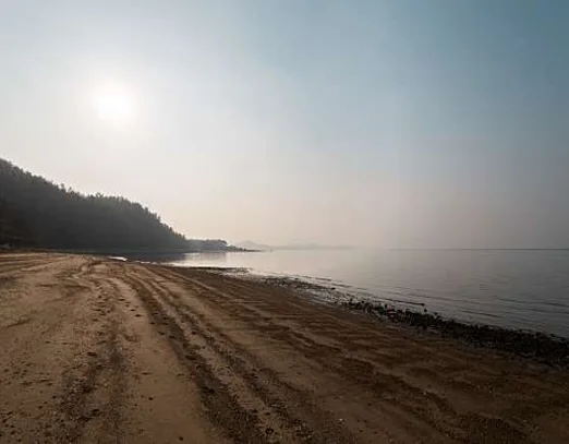 장선해변