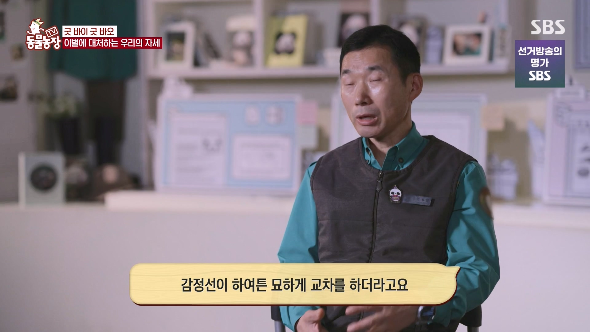 TV 동물농장.E1166.240407p-NEXT.mp4_20240407_164505.645.jpg