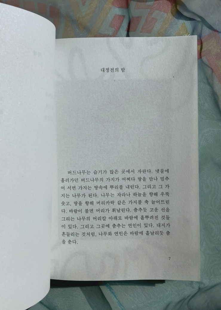 대정 이미지