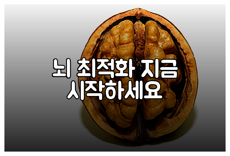 뇌 최적화 지금 시작하세요