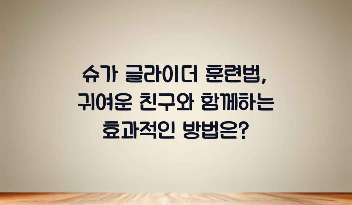 슈가 글라이더 훈련법