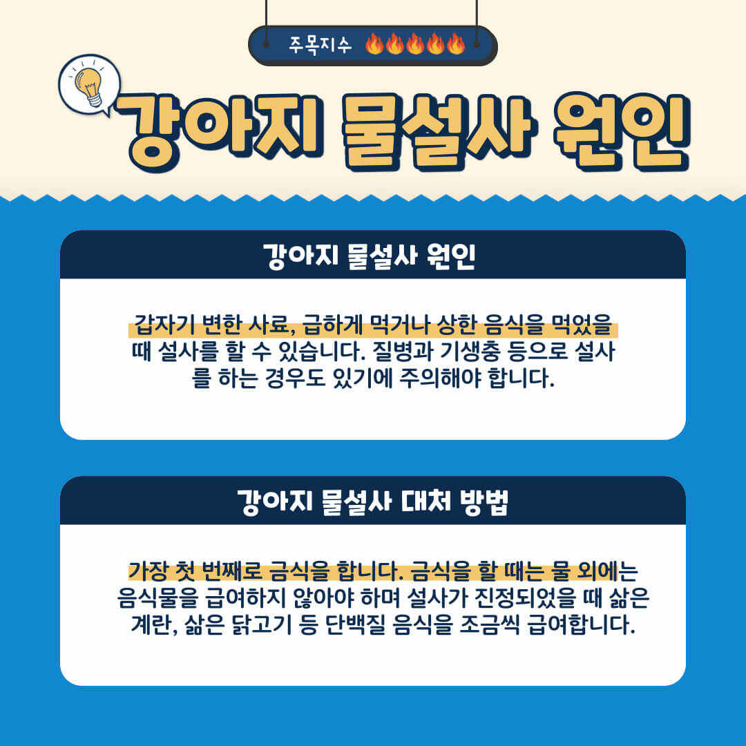 강아지 설사 원인 설명 및 대처 방법 설명