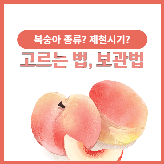 복숭아고르는법