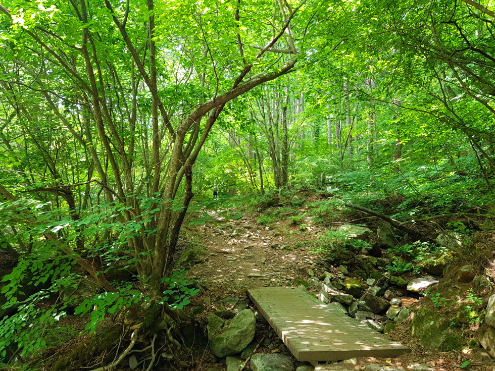 강원 인제 여행 방태산 등산 mountain hiking