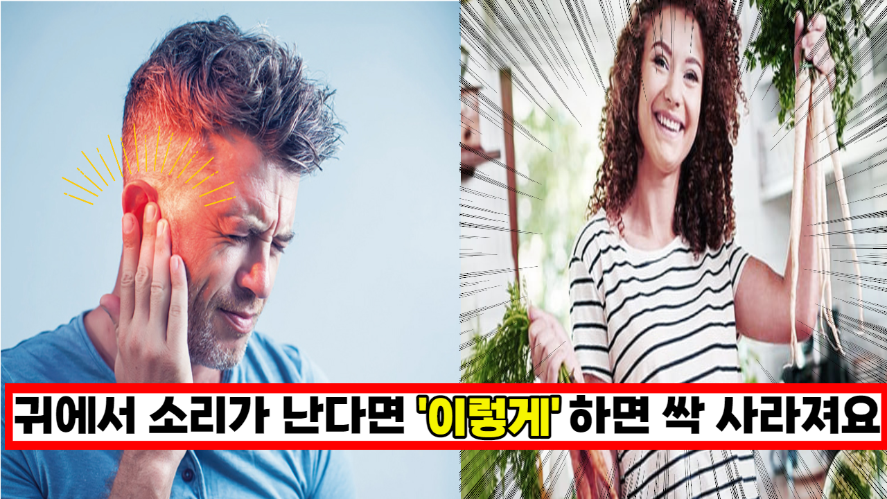  나를 괴롭히던 귀에서 나는 삐 소리 이것 하나면 30초만에 싹 사라집니다.
