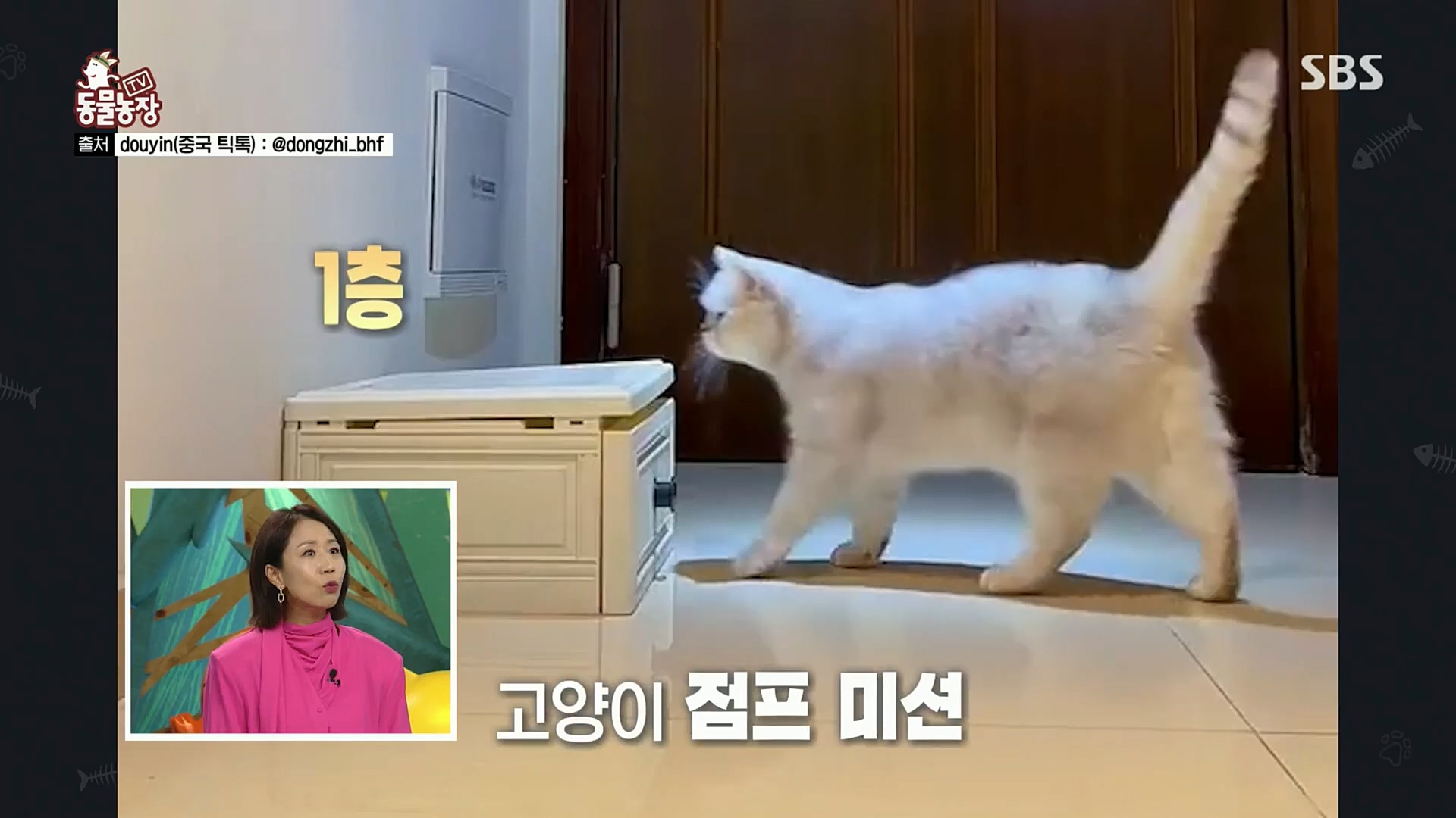 TV 동물농장.E1097.221127p.H264-F1RST.mp4_20221127_181659.091.jpg