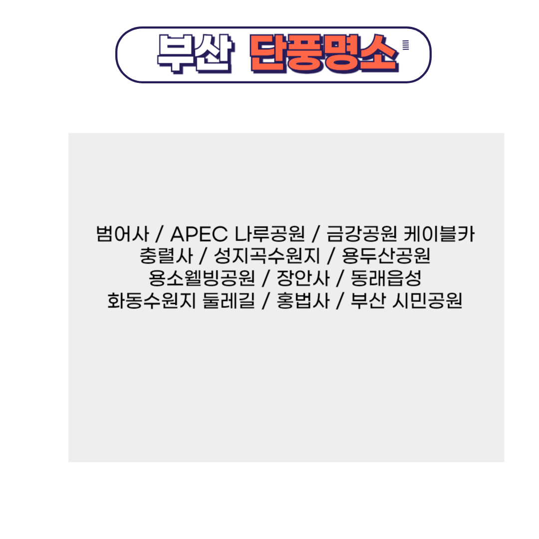 부산 단풍명소 리스트