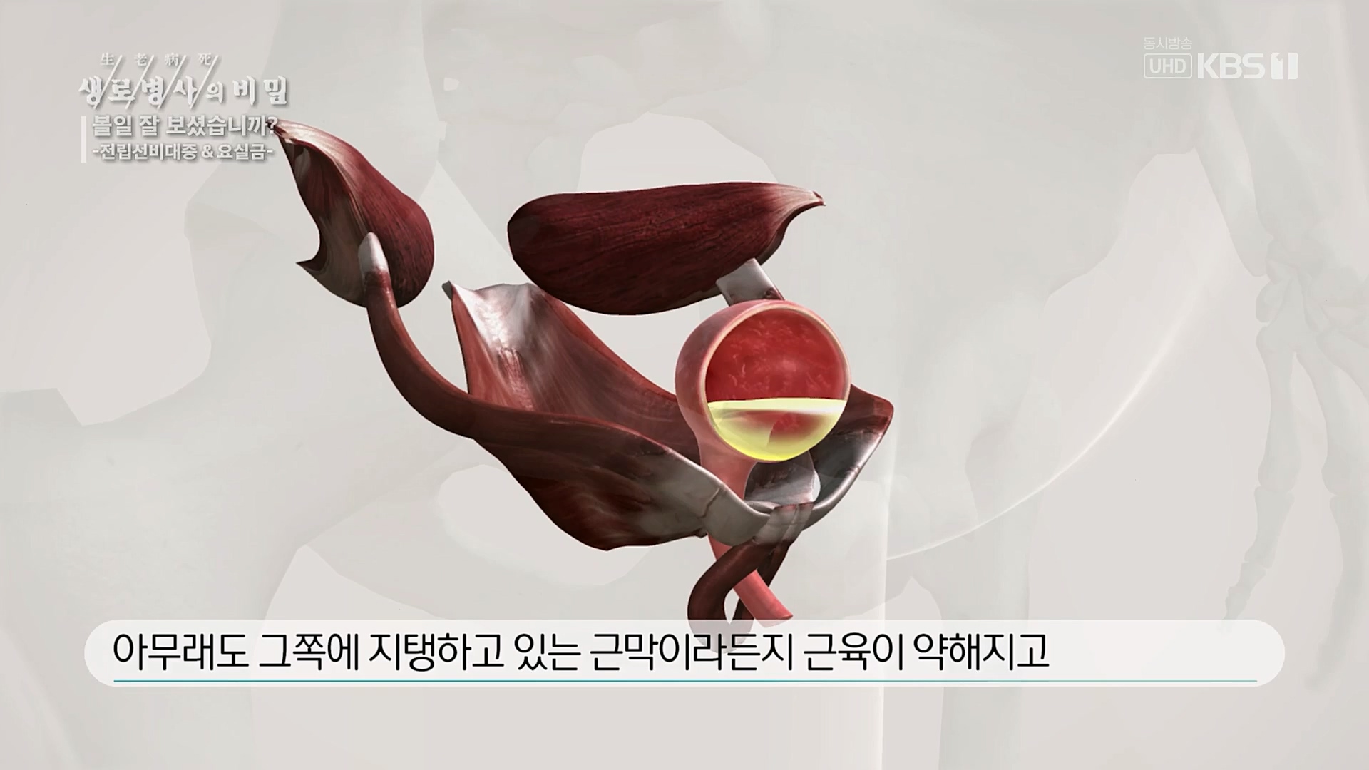 생로병사의 비밀.E856.230215p.H264-F1RST.mp4_20230216_195526.530.jpg