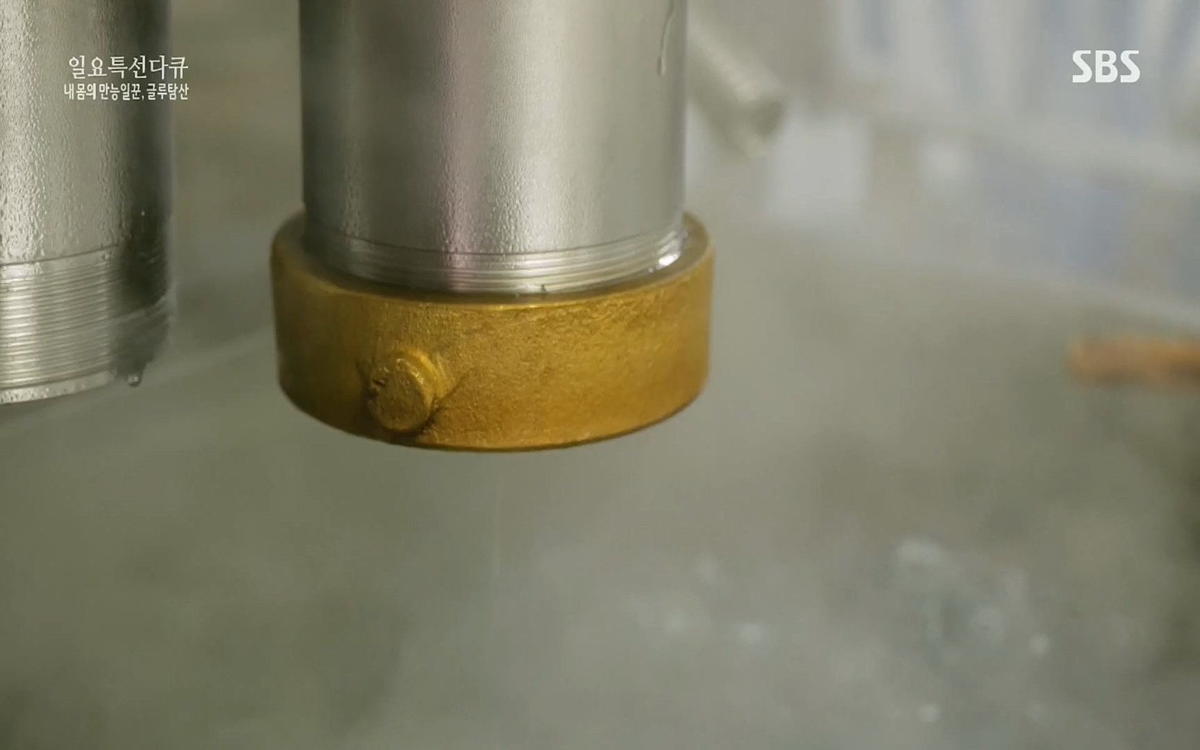 일요 특선 다큐멘터리.E283.220717p.H264-F1RST.mp4_20220718_202850.322.jpg