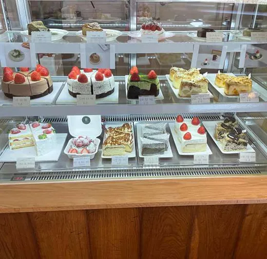 카페진리