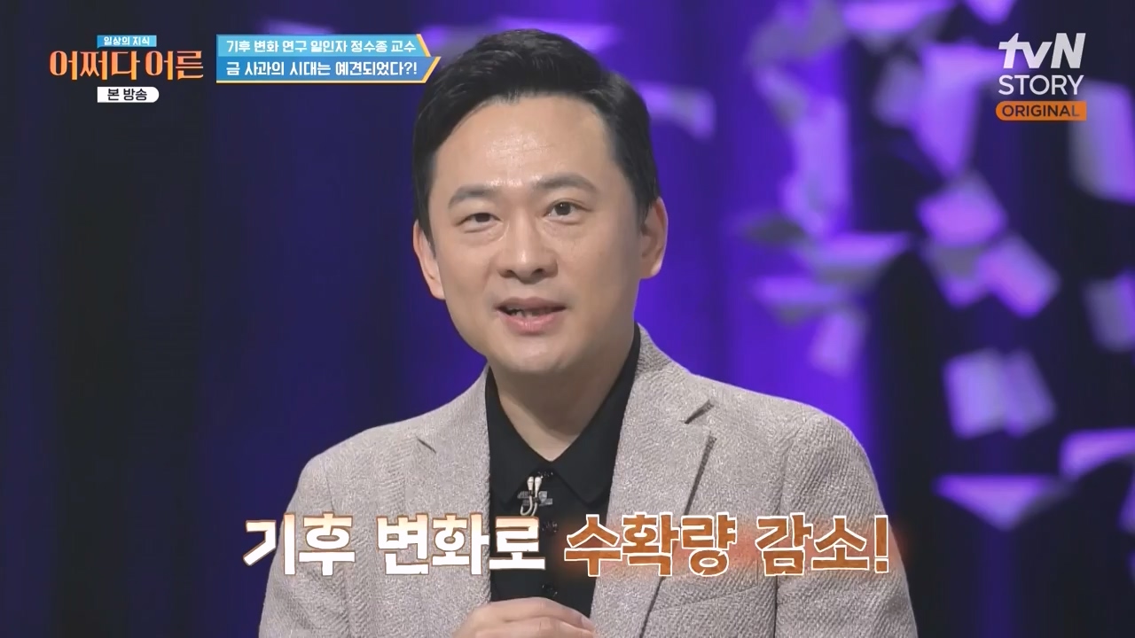 어쩌다 어른.E55.240508p-NEXT.mp4_20240508_205346.095.jpg