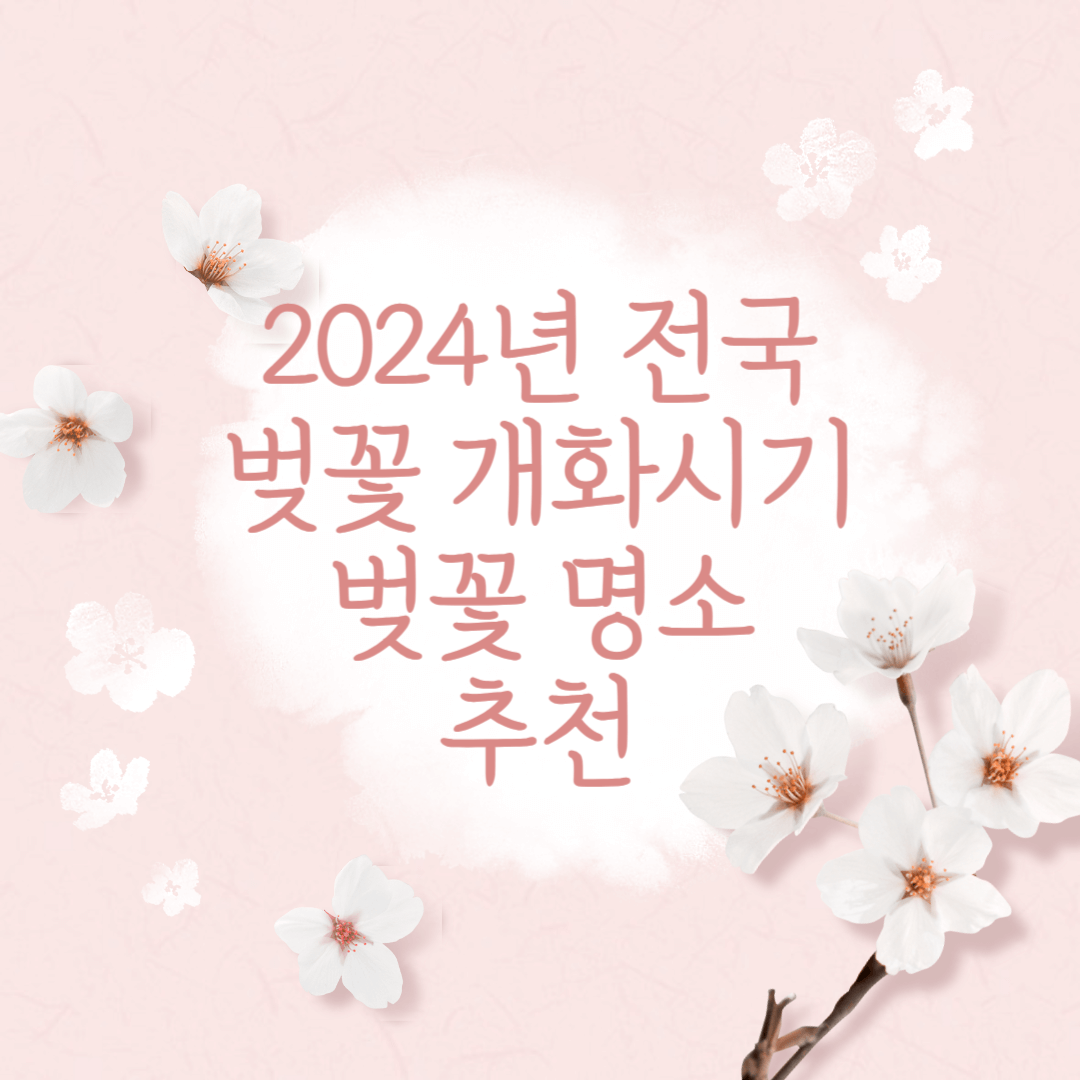 2024년 전국 벚꽃 개화시기 및 명소 추천