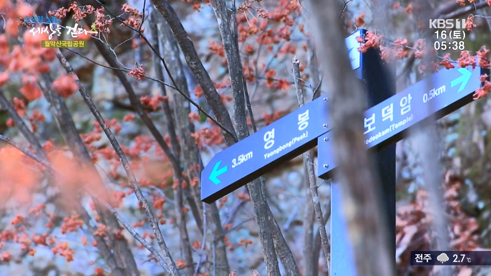 트레킹노트 세상을 걷다.E299.231216p.H264-F1RST.mp4_20240131_200357.001.jpg