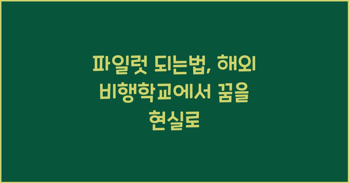 파일럿 되는법
