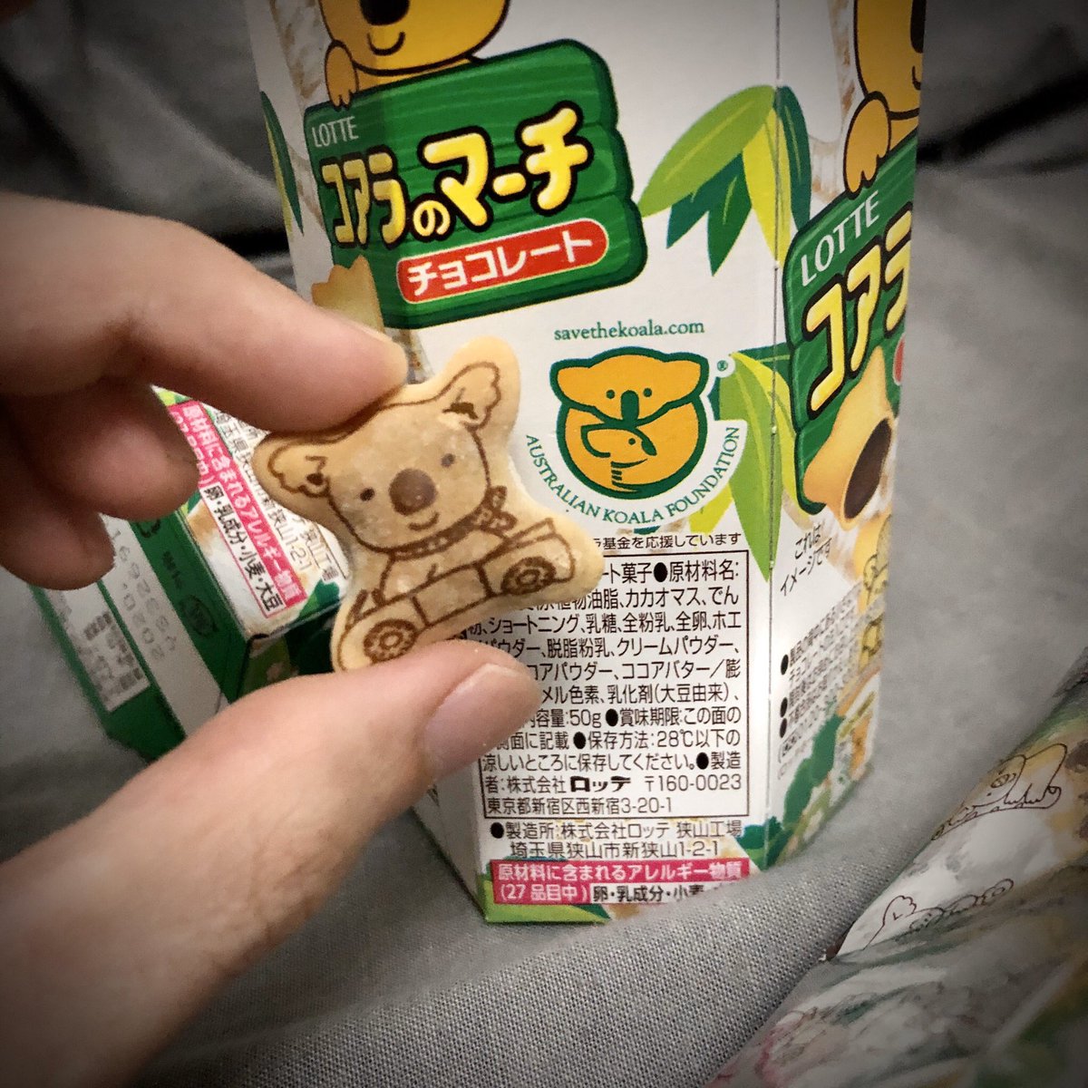  귀여운 일본 과자 롯데의 코알라 마치(アラのマーチ) 에 대해서 알아보자