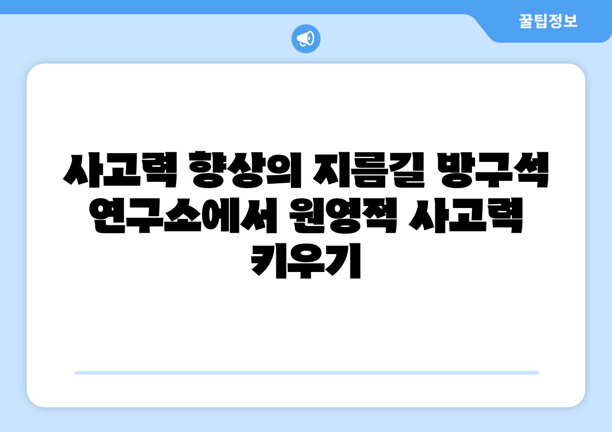 사고력 향상의 지름길 방구석 연구소에서 원영적 사고력 키우기