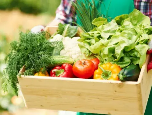 야채-섭취량을-늘리면-땀-냄새를-줄이는-데-도움을-받을-수-있습니다.