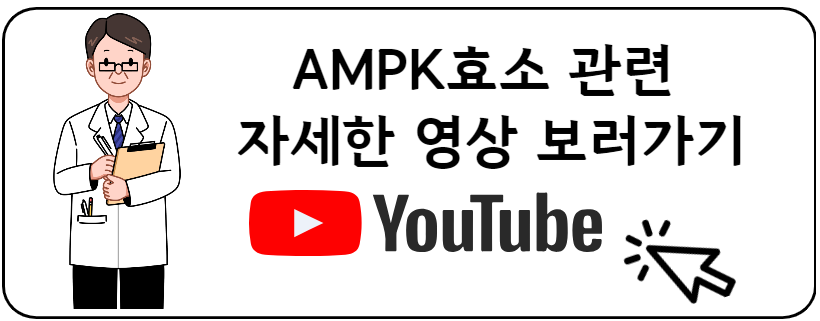 AMPK보충제