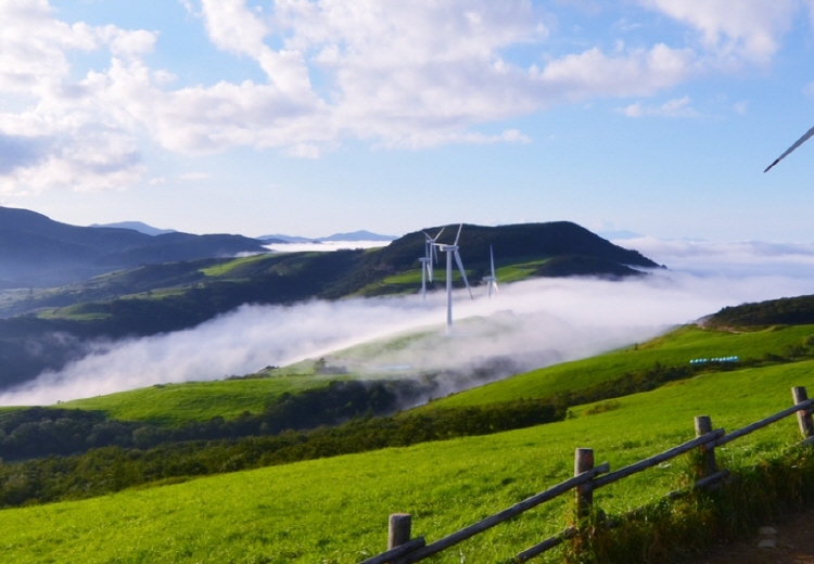 평창 가볼만한곳