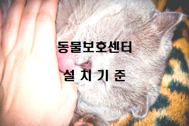  노다지네 잡학다식