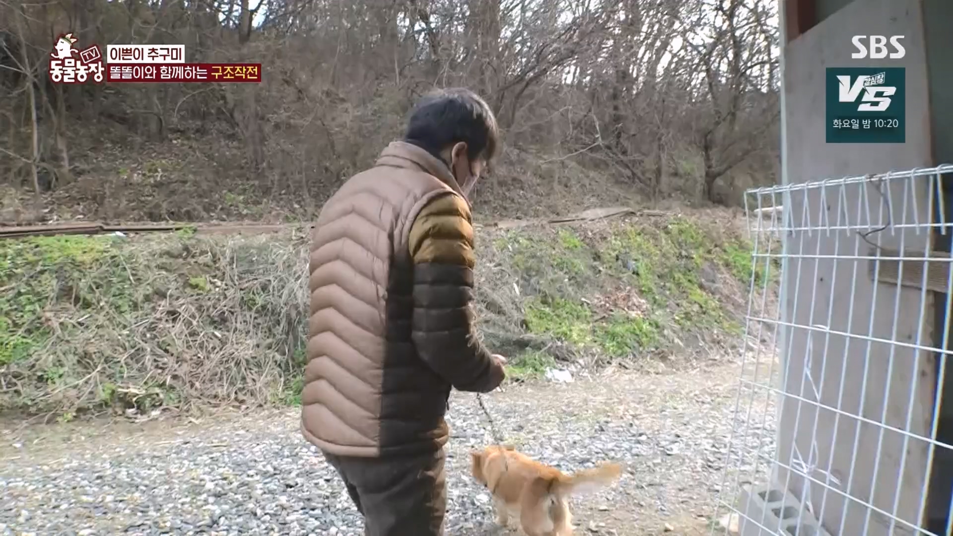 TV 동물농장.E1149.231210p.H264-F1RST.mp4_20231210_171104.849.jpg