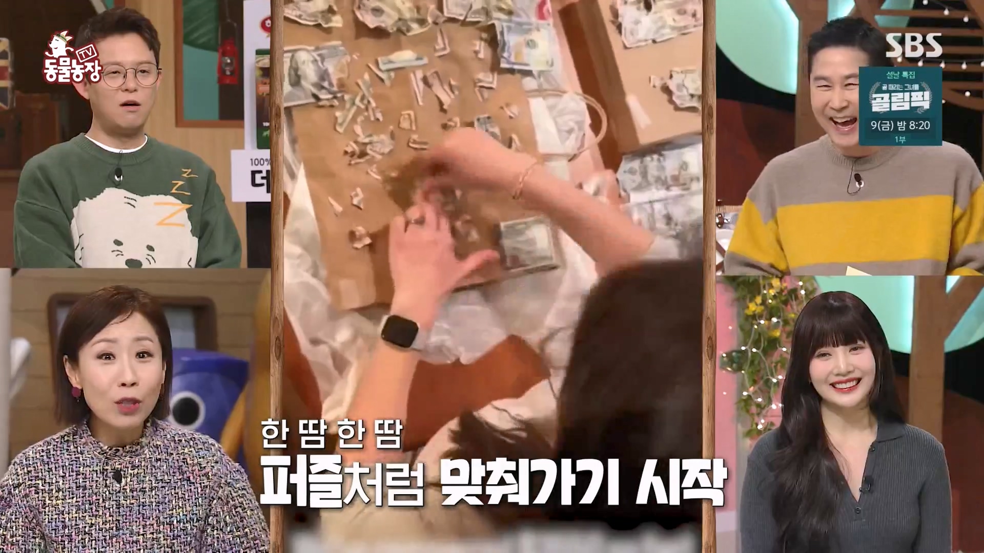 TV 동물농장.E1157.240204p-NEXT.mp4_20240204_164239.728.jpg