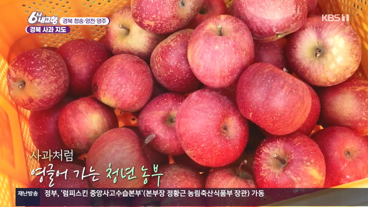 6시 내고향.E7907.231108p.H264-F1RST.mp4_20231108_204730.561.jpg