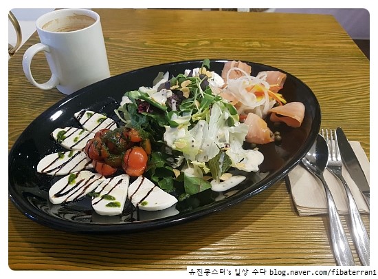 레드콜리 사진 6