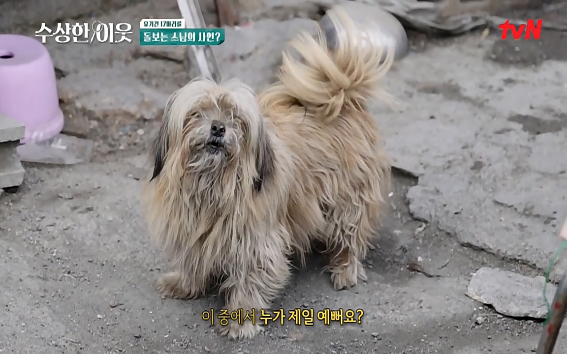 수상한 이웃.E04.220422p-NEXT.mp4_20220424_193043.237.jpg