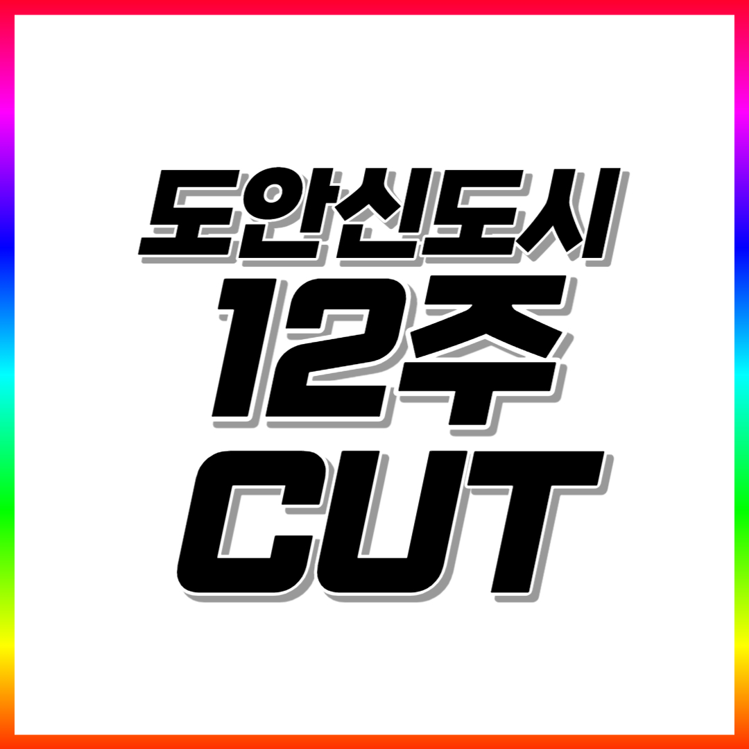  도안신도시 초등 수학과외 도안 고등 중학생 영어과외 국어 과학 전과목 일대일 선생님 내신관리