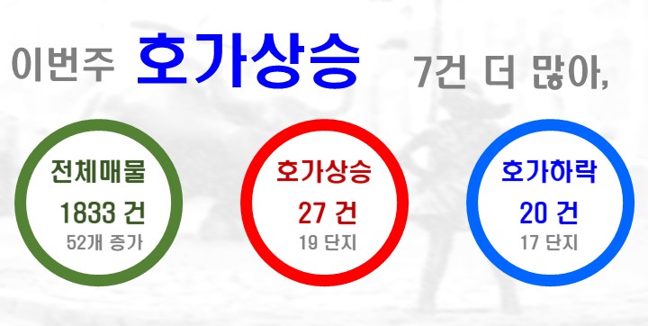더블유일광 이미지