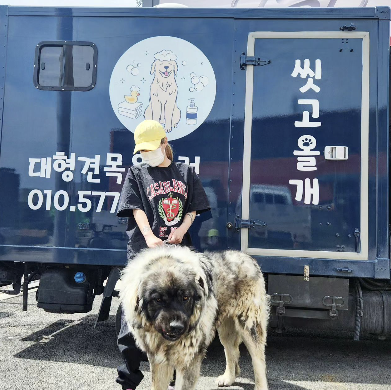 대형견 출장 목욕