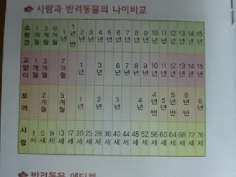 개의 크기별 나이 환산법_19